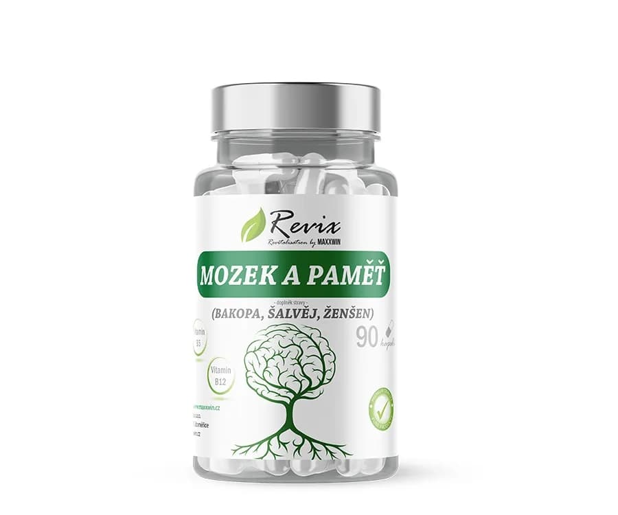 REVIX MOZEK A PAMĚŤ 90 kapslí